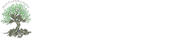Roots Counseling Service