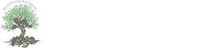 Roots Counseling Service